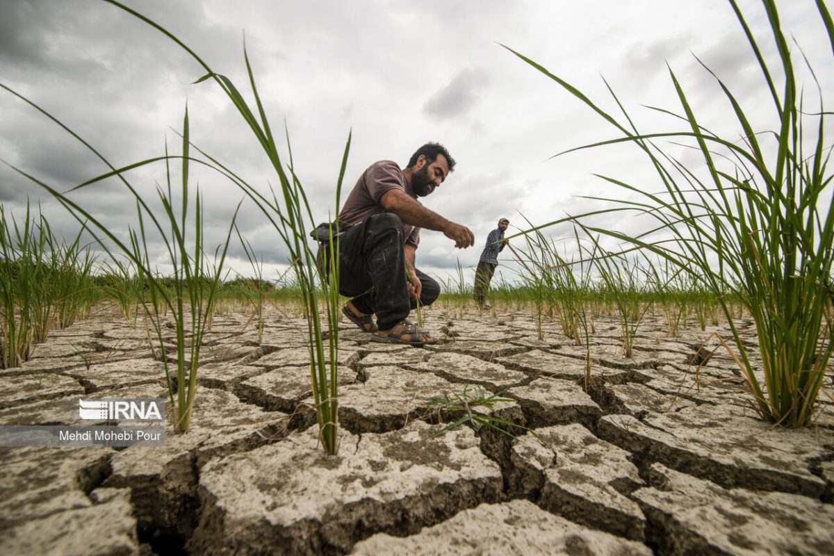 Iran faces severe drought amid poor water management, environment chief warns 1 Iran drought