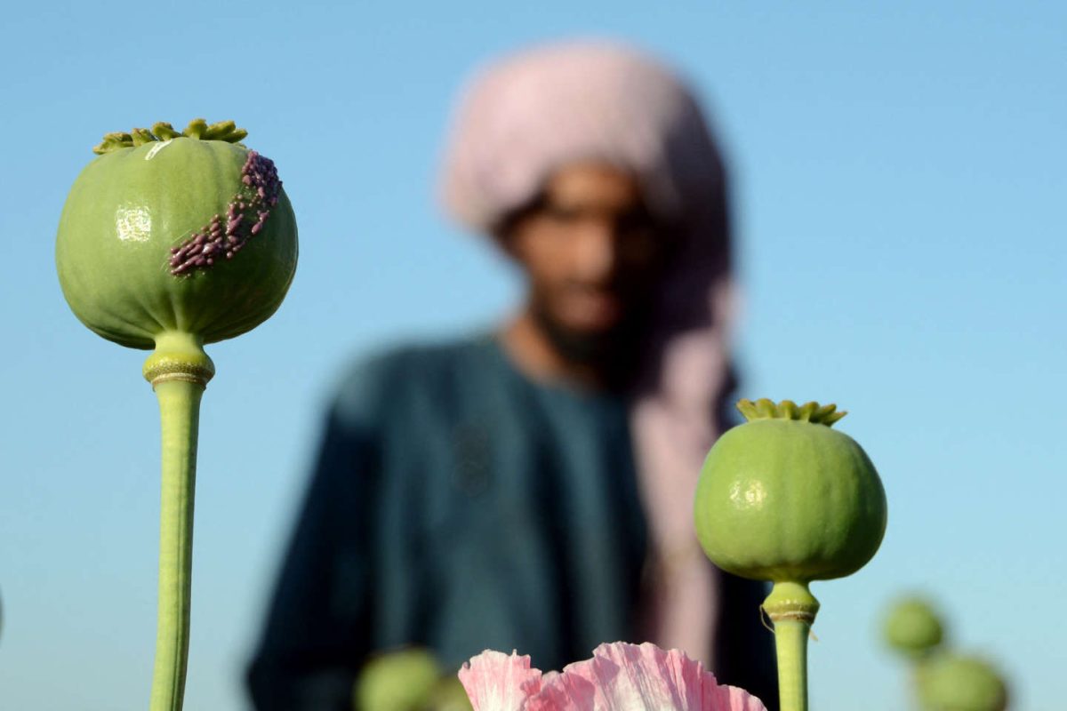 UN cautions Afghanistan meth trade increases as Taliban clamps down on heroin