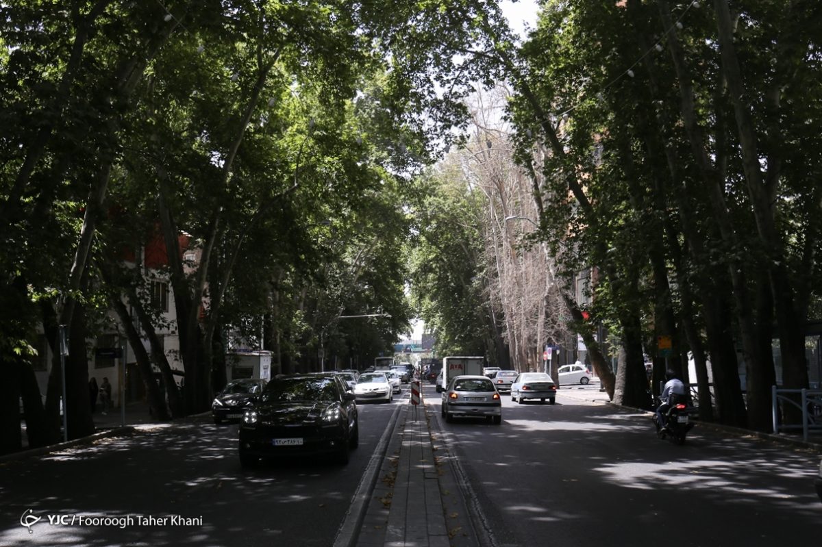 Tehran's Valiasr Street: A verdant chronicle of transformation