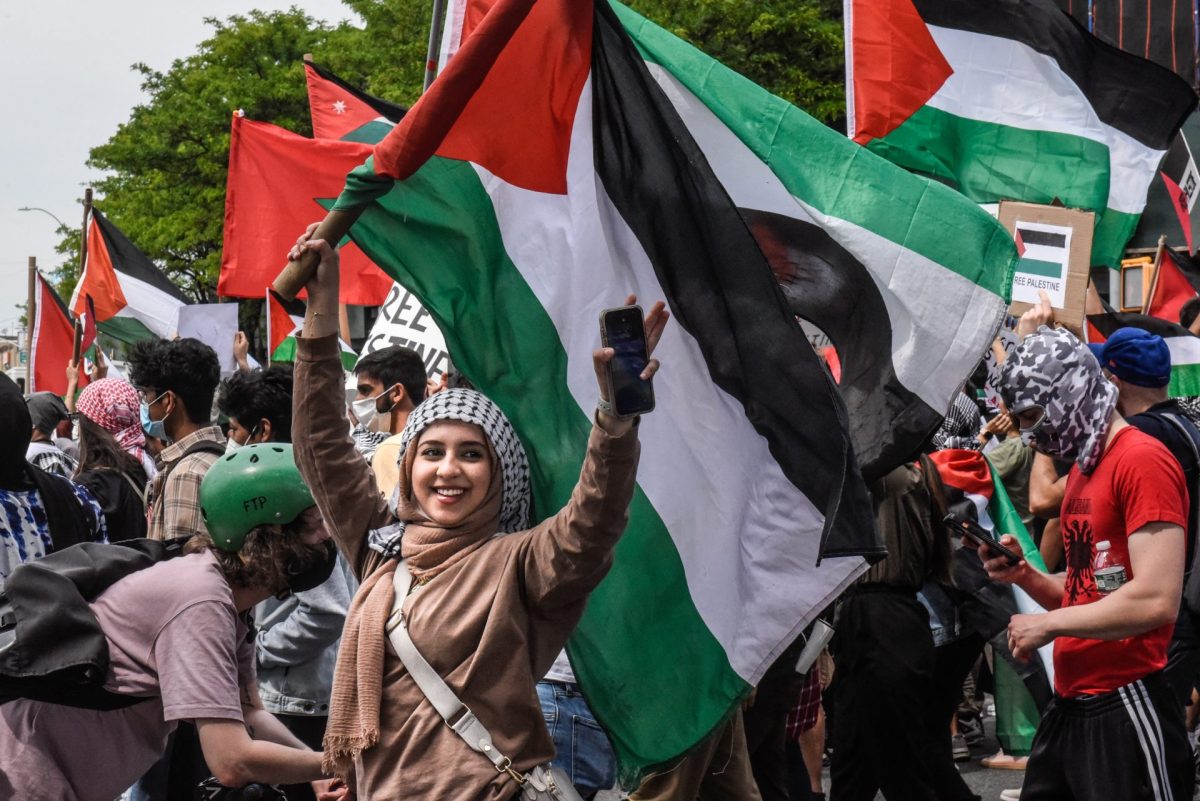 US warns Britain and France not to recognise Palestinian state 1 Pro-Palestine Rally
