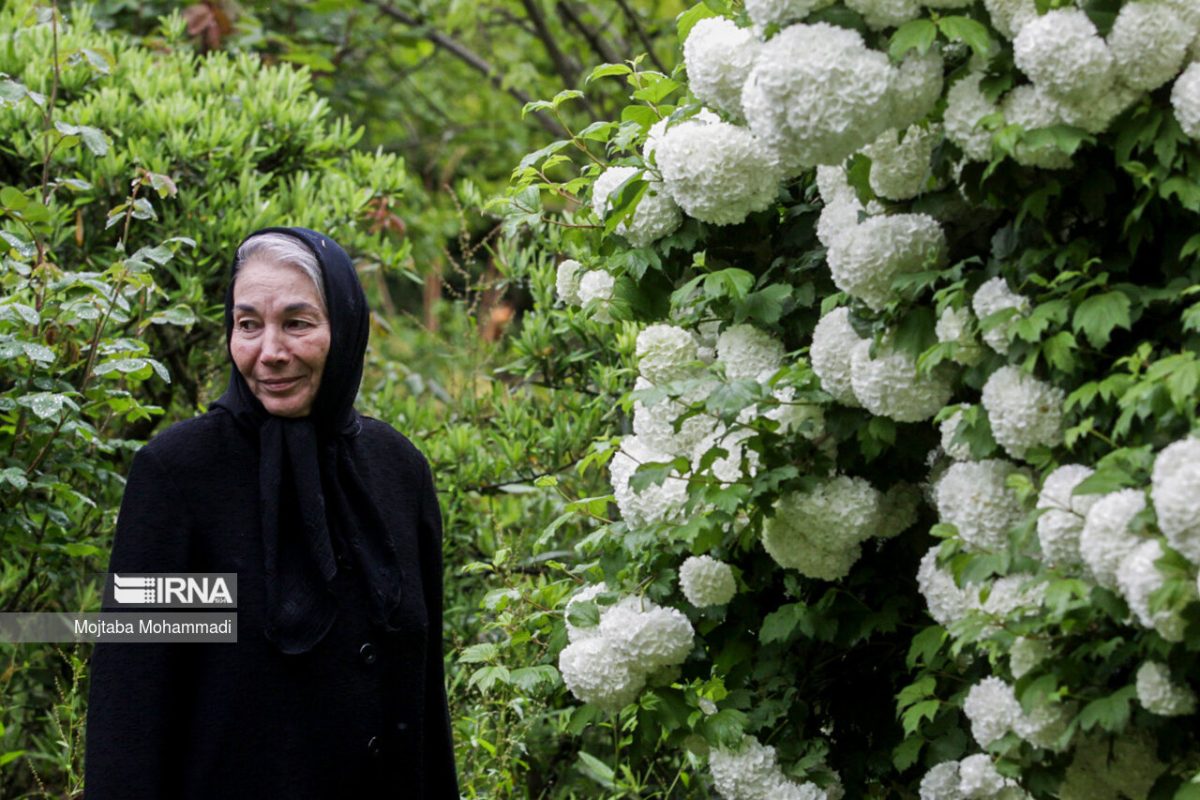 Famous Iranian actress Parvenh Masoumi dead at 79 1 Parvaneh Masoumi