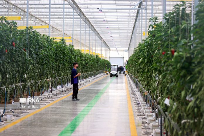 Iran glass greenhouse