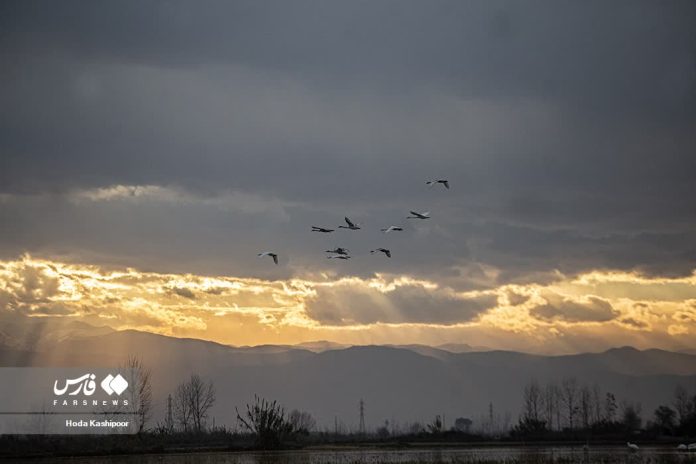 Iran Mazandaran’s red river