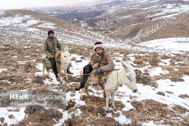 Villagers Iran animal local wildlife