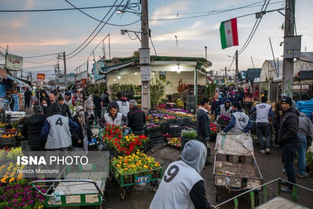 Tehran Flower Market