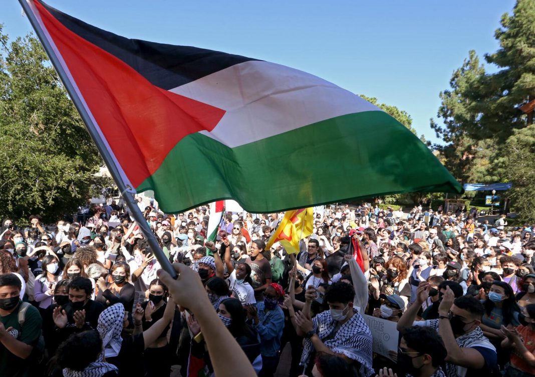 Rally Palestine