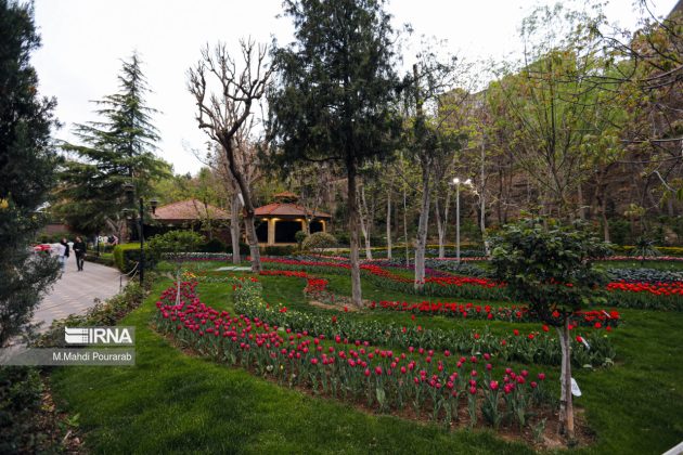 Iran’s Karaj hosts tulip festival