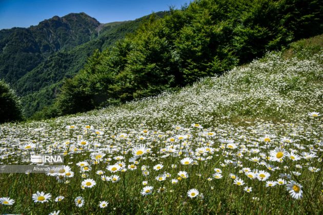 Mild weather lures more tourists to northern, northwestern Iran