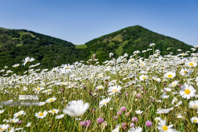 Mild weather lures more tourists to northern, northwestern Iran