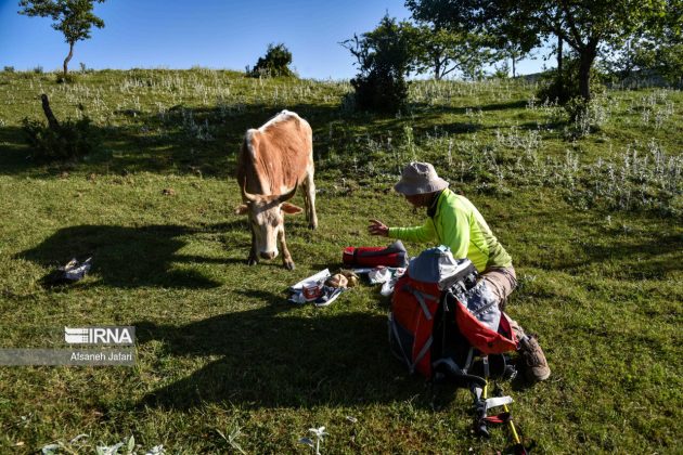 Mild weather lures more tourists to northern, northwestern Iran