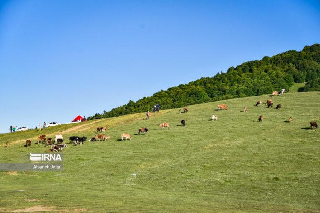 Mild weather lures more tourists to northern, northwestern Iran