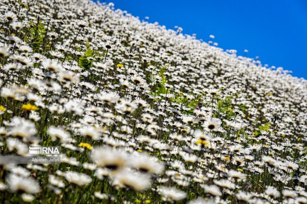 Mild weather lures more tourists to northern, northwestern Iran