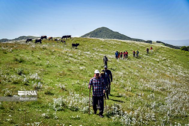 Mild weather lures more tourists to northern, northwestern Iran