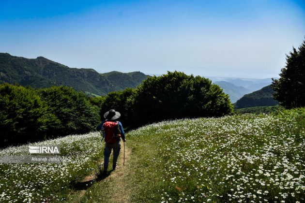 Mild weather lures more tourists to northern, northwestern Iran