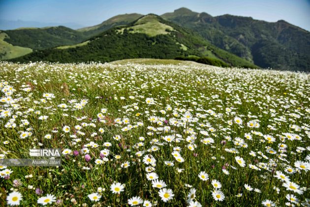 Mild weather lures more tourists to northern, northwestern Iran