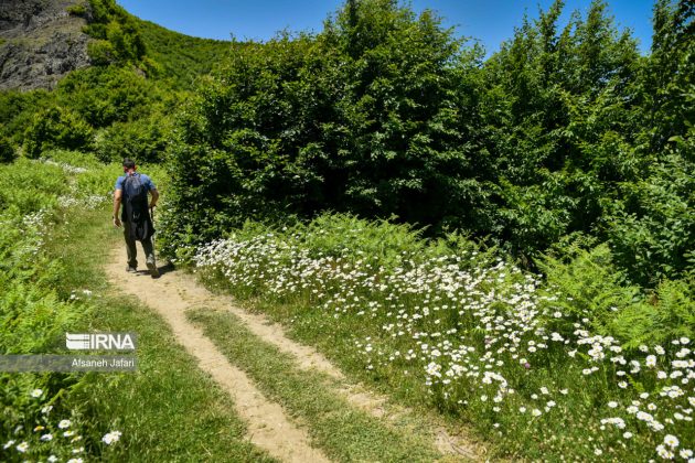 Mild weather lures more tourists to northern, northwestern Iran