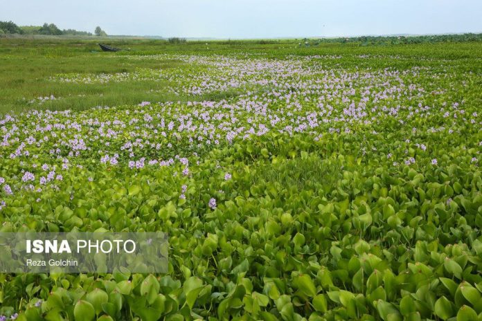 IMG_20240607_160127_583