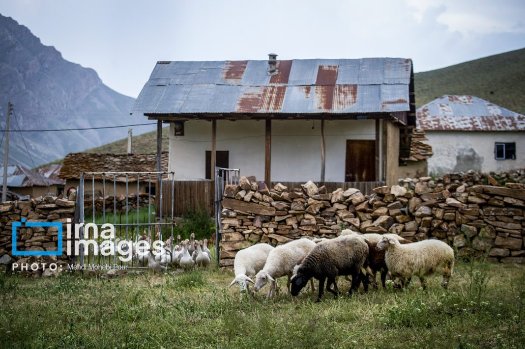 Ranchers in northern Iran move to summer resorts in mountains