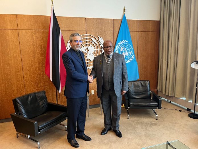 Iranian acting FM meets UNGA president, talks Palestine Iranian acting FM meets UNGA president, talks Palestine