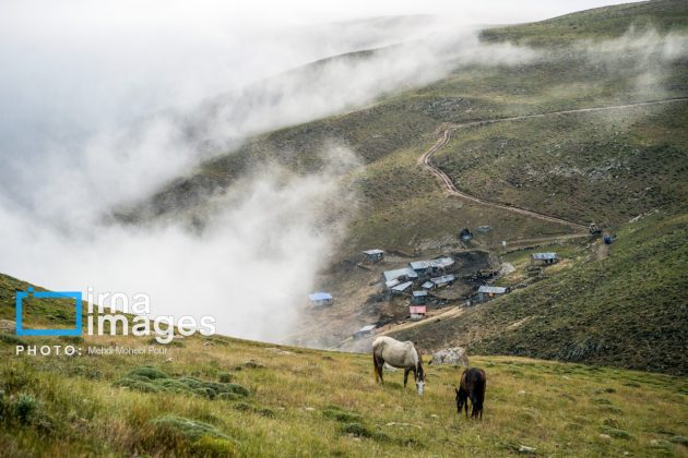 Ranchers in northern Iran move to summer resorts in mountains