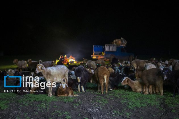 Ranchers in northern Iran move to summer resorts in mountains