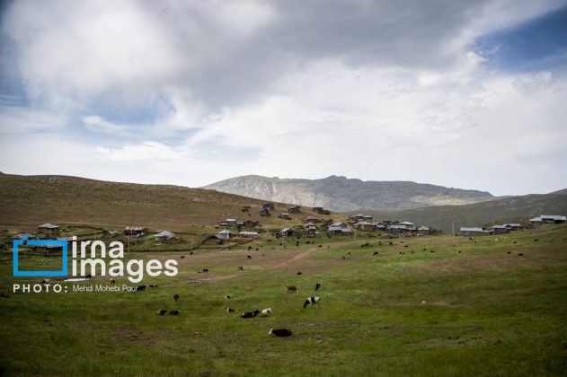 Ranchers in northern Iran move to summer resorts in mountains