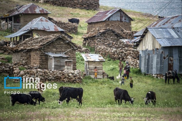 Ranchers in northern Iran move to summer resorts in mountains