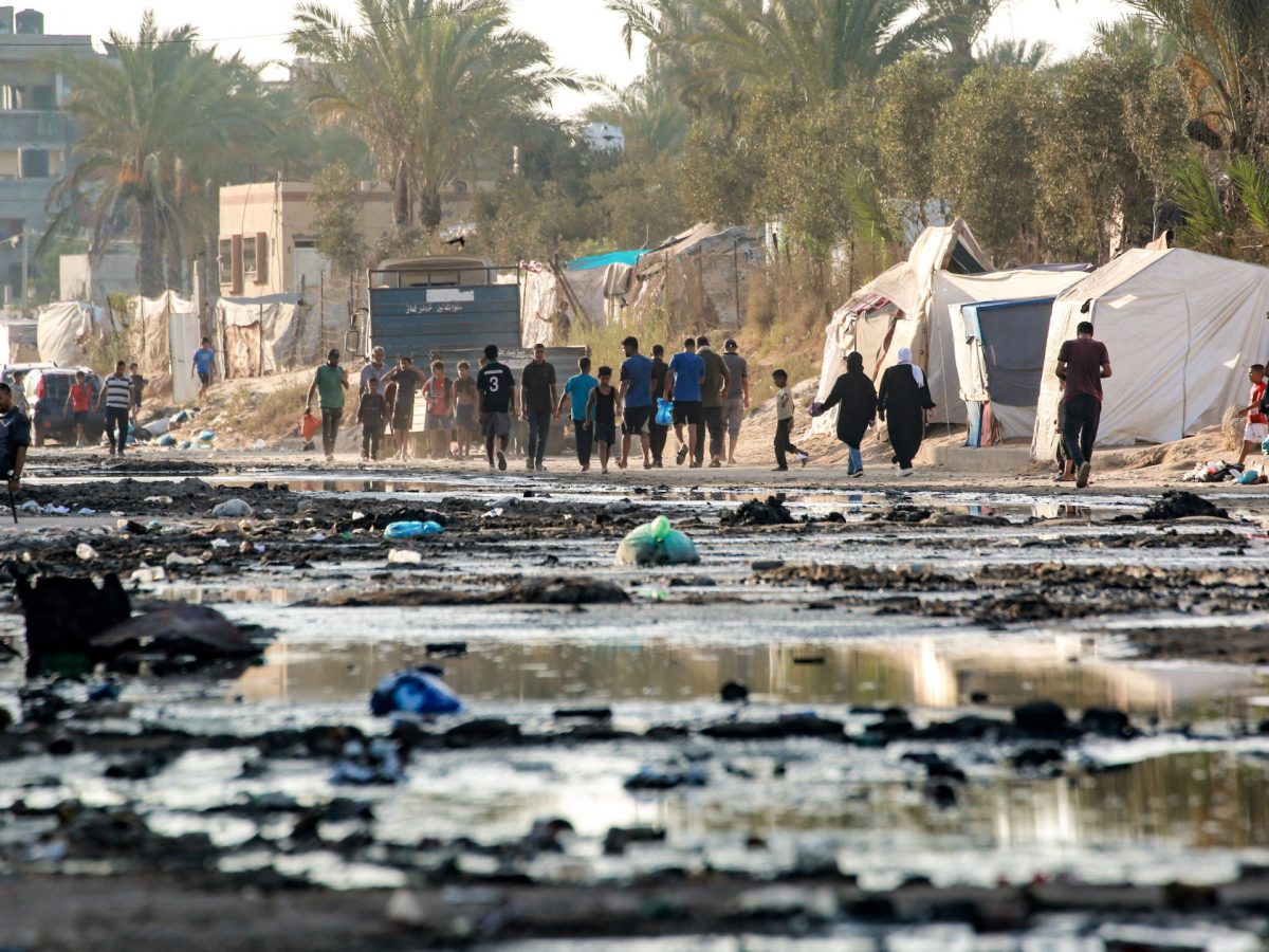 Polio epidemic declared in Gaza Strip amid war
