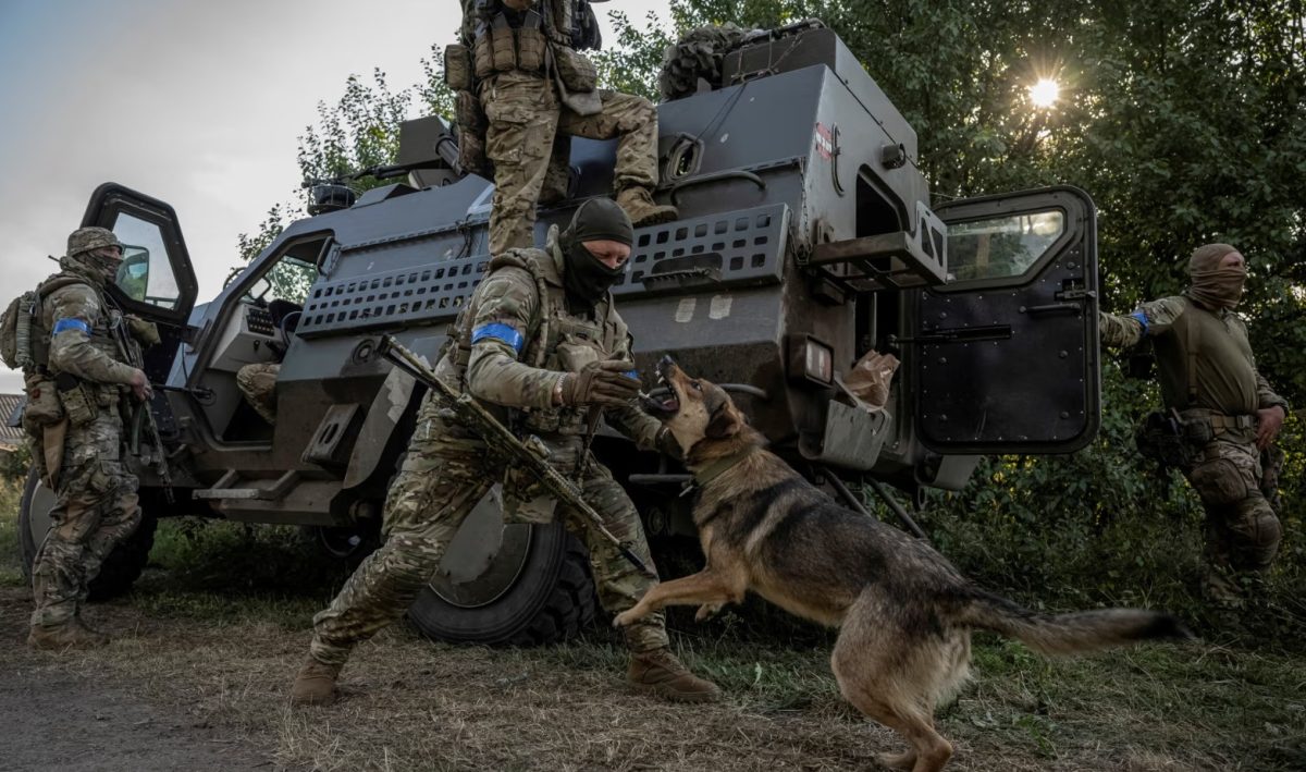 UK trained Ukrainian troops ahead of Kursk attack: Report