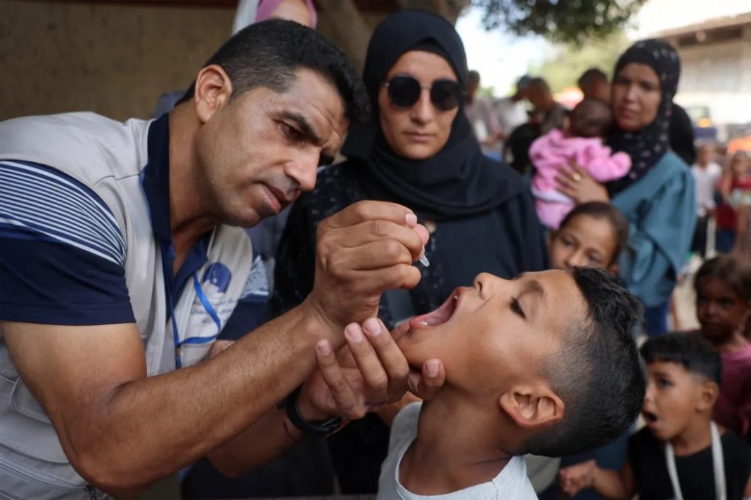 Gaza polio vaccination