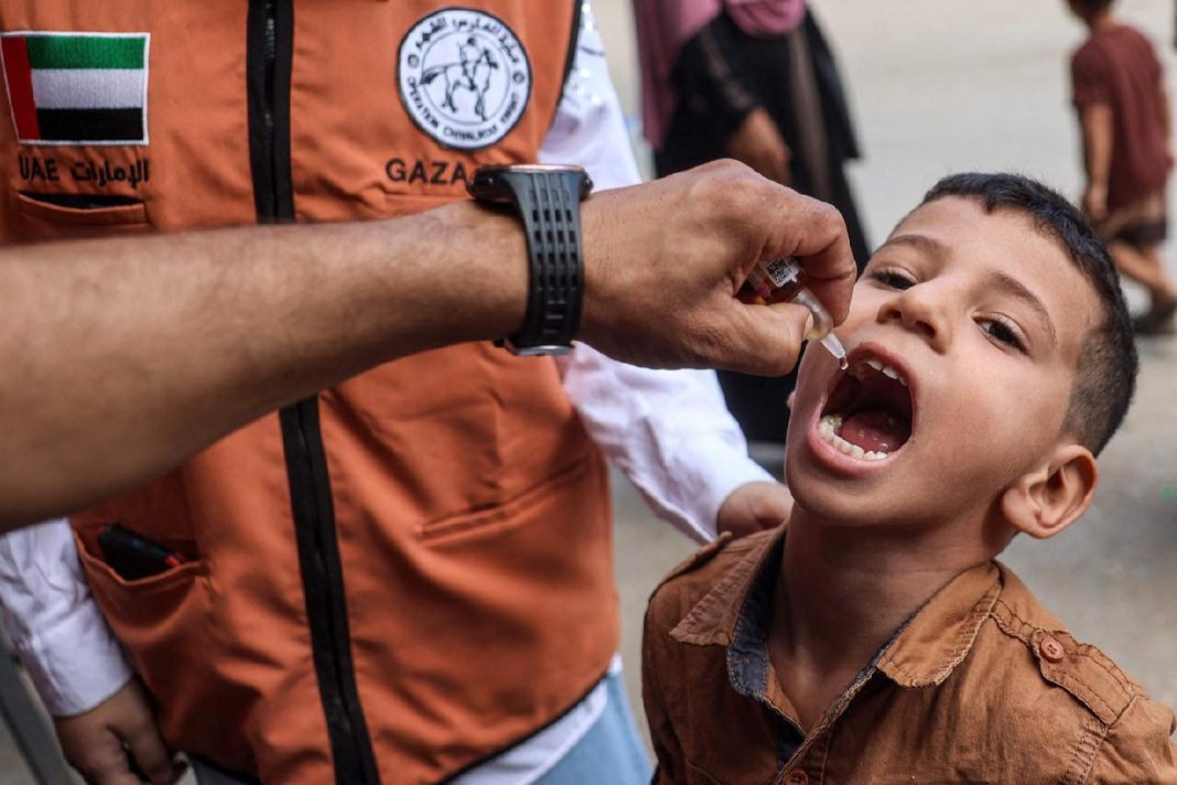 Gaza polio vaccination campaign