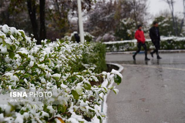 Different Iranian cities blanketed in snow