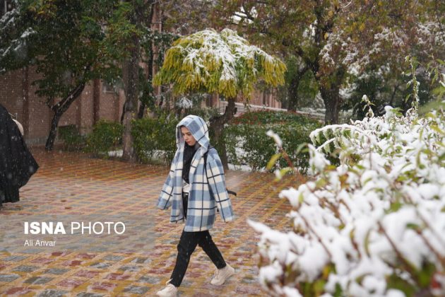 Different Iranian cities blanketed in snow