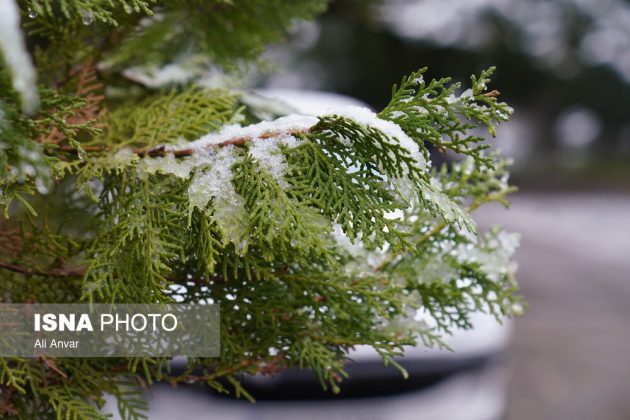 Different Iranian cities blanketed in snow