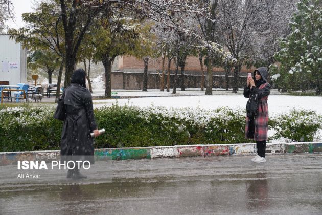 Different Iranian cities blanketed in snow