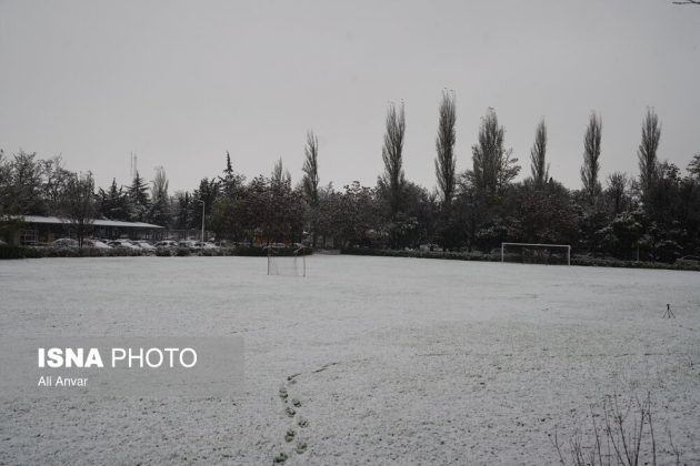 Different Iranian cities blanketed in snow