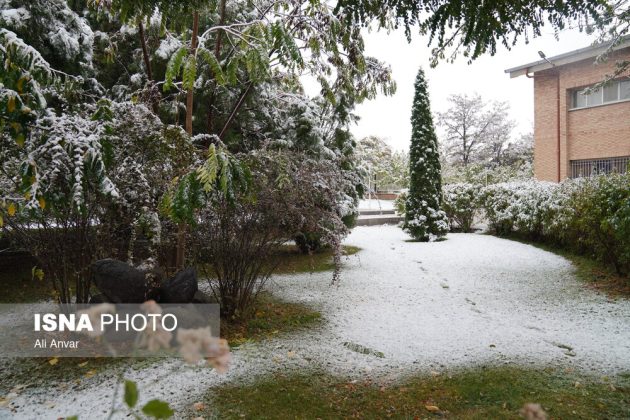 Different Iranian cities blanketed in snow