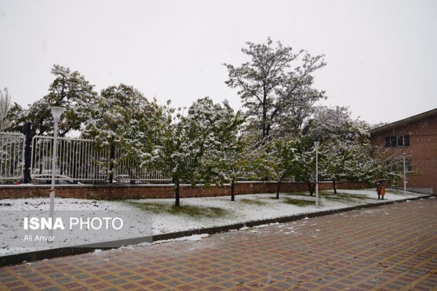 Different Iranian cities blanketed in snow