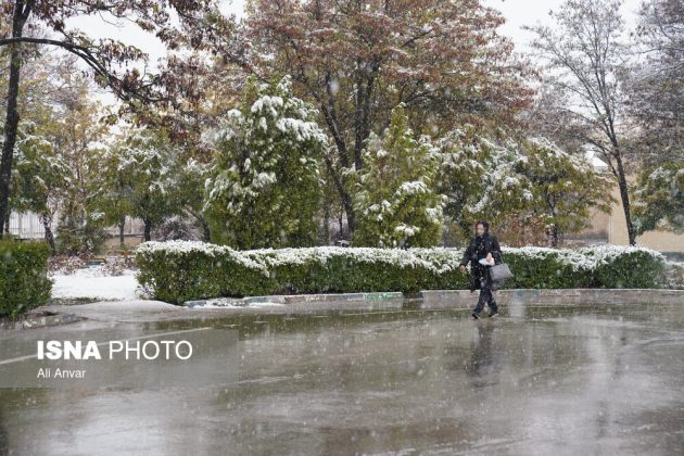 Different Iranian cities blanketed in snow