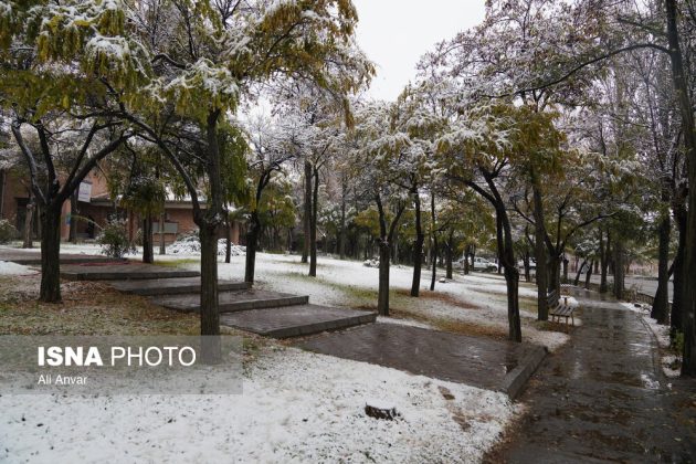 Different Iranian cities blanketed in snow