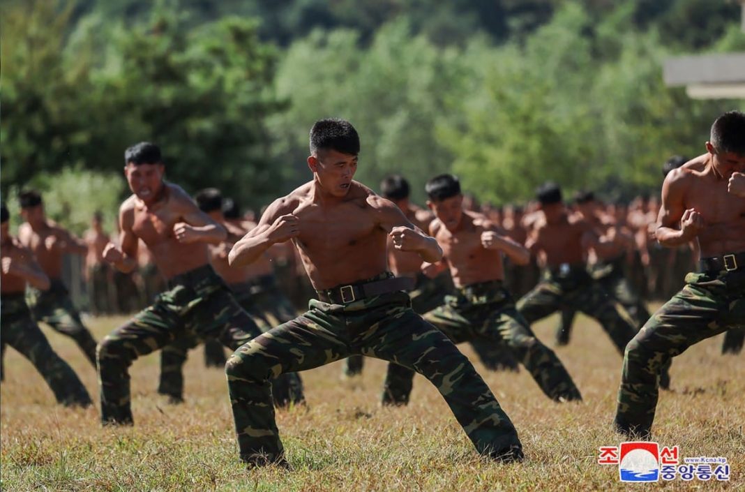 North Korean Soldiers