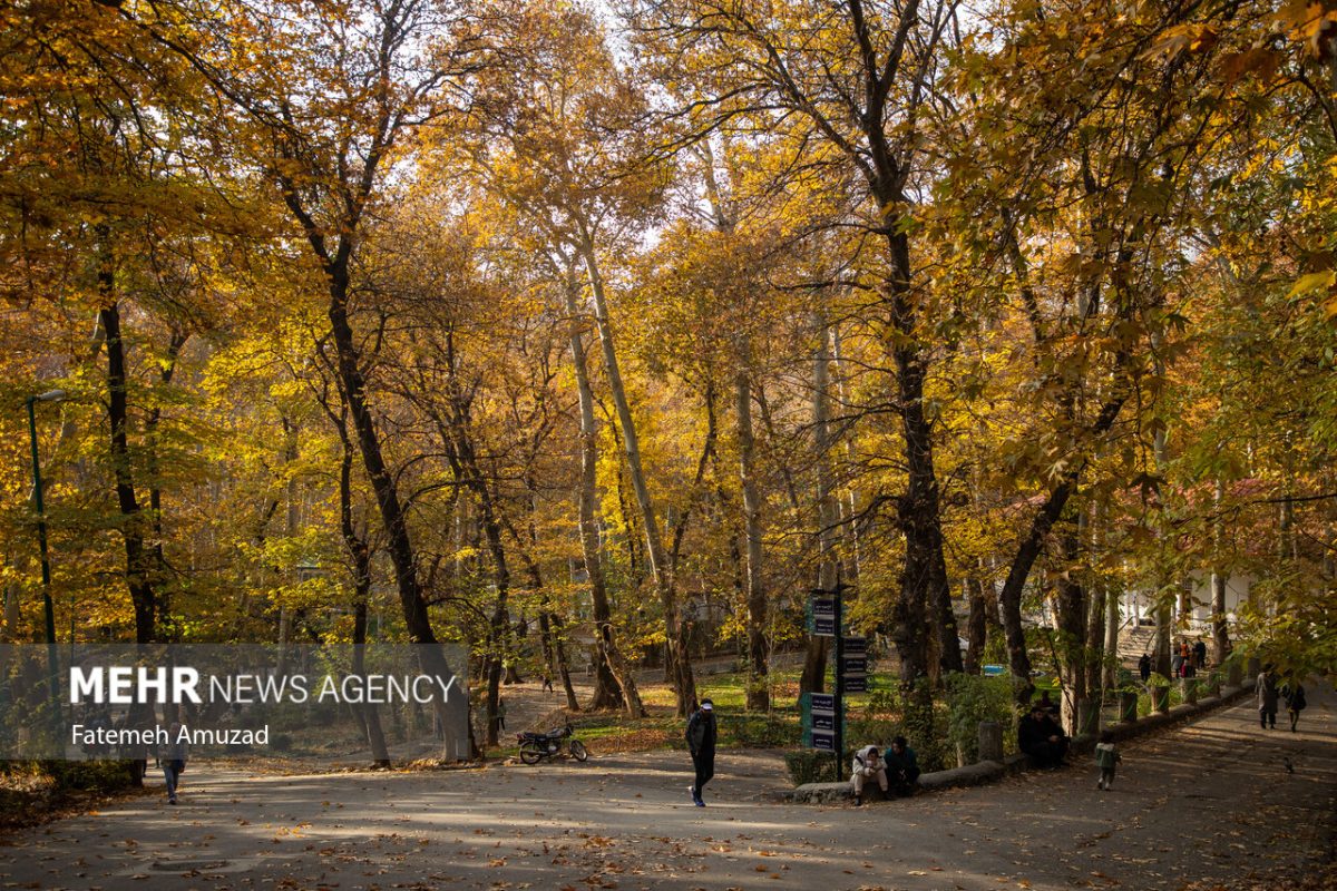 A symphony of autumn colors: Discover the enchanting Sa’dabad complex in Tehran