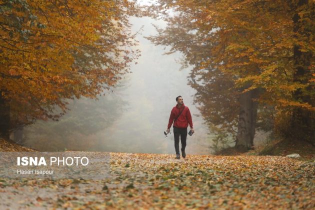 Embrace the enchanting autumn beauty of Farim Sahra forests in Iran’s Mazandaran