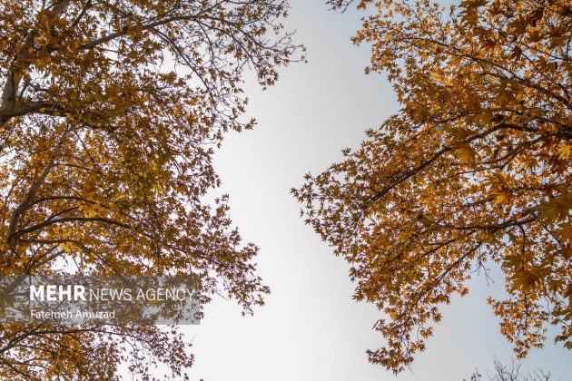 A symphony of autumn colors: Discover the enchanting Sa’dabad complex in Tehran