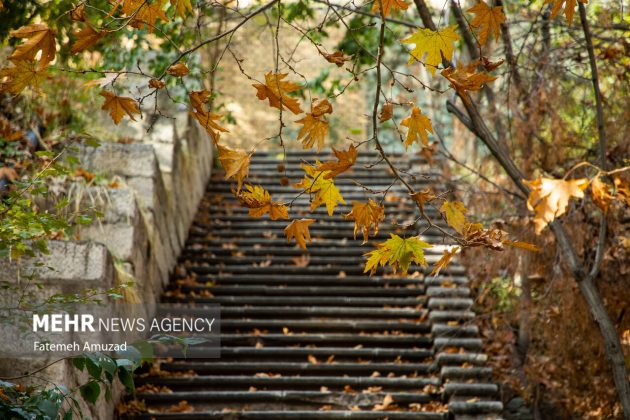 A symphony of autumn colors: Discover the enchanting Sa’dabad complex in Tehran