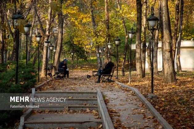 A symphony of autumn colors: Discover the enchanting Sa’dabad complex in Tehran