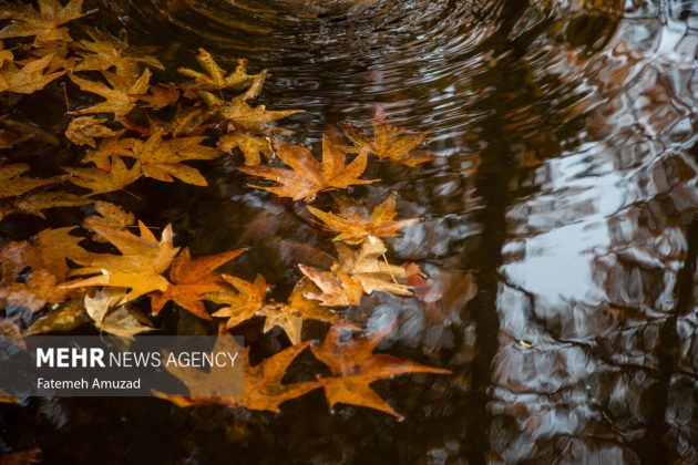 A symphony of autumn colors: Discover the enchanting Sa’dabad complex in Tehran