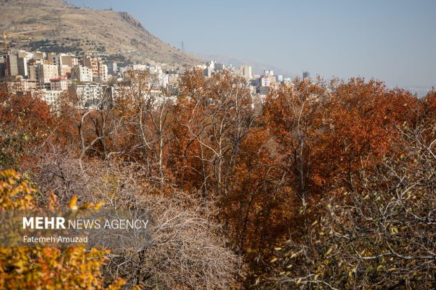 A symphony of autumn colors: Discover the enchanting Sa’dabad complex in Tehran