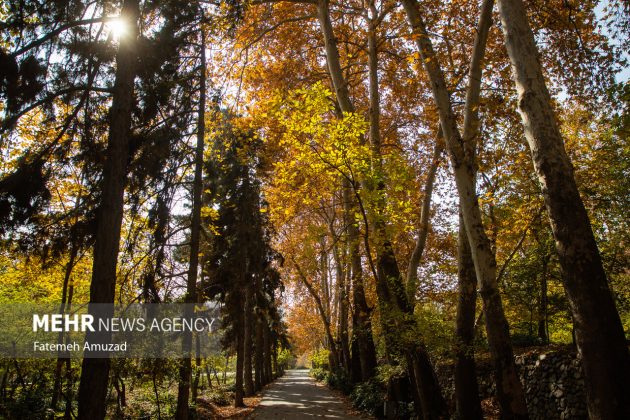 A symphony of autumn colors: Discover the enchanting Sa’dabad complex in Tehran