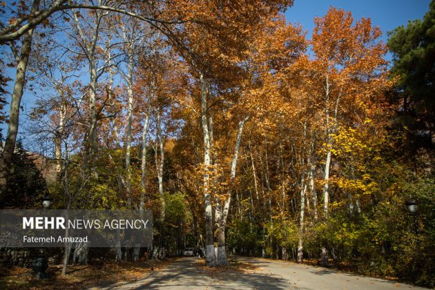 A symphony of autumn colors: Discover the enchanting Sa’dabad complex in Tehran